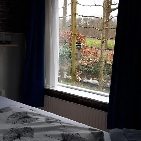 Het Uitzicht 住宿加早餐酒店 埃尔斯佩特